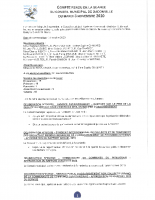 Compte Rendu du Conseil Municipal De Dadonville- 3 11 2020